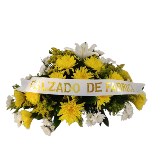 Coronas a domicilio en monteria