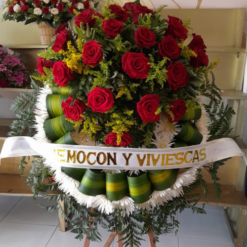 Funeraria los olivos en Montería